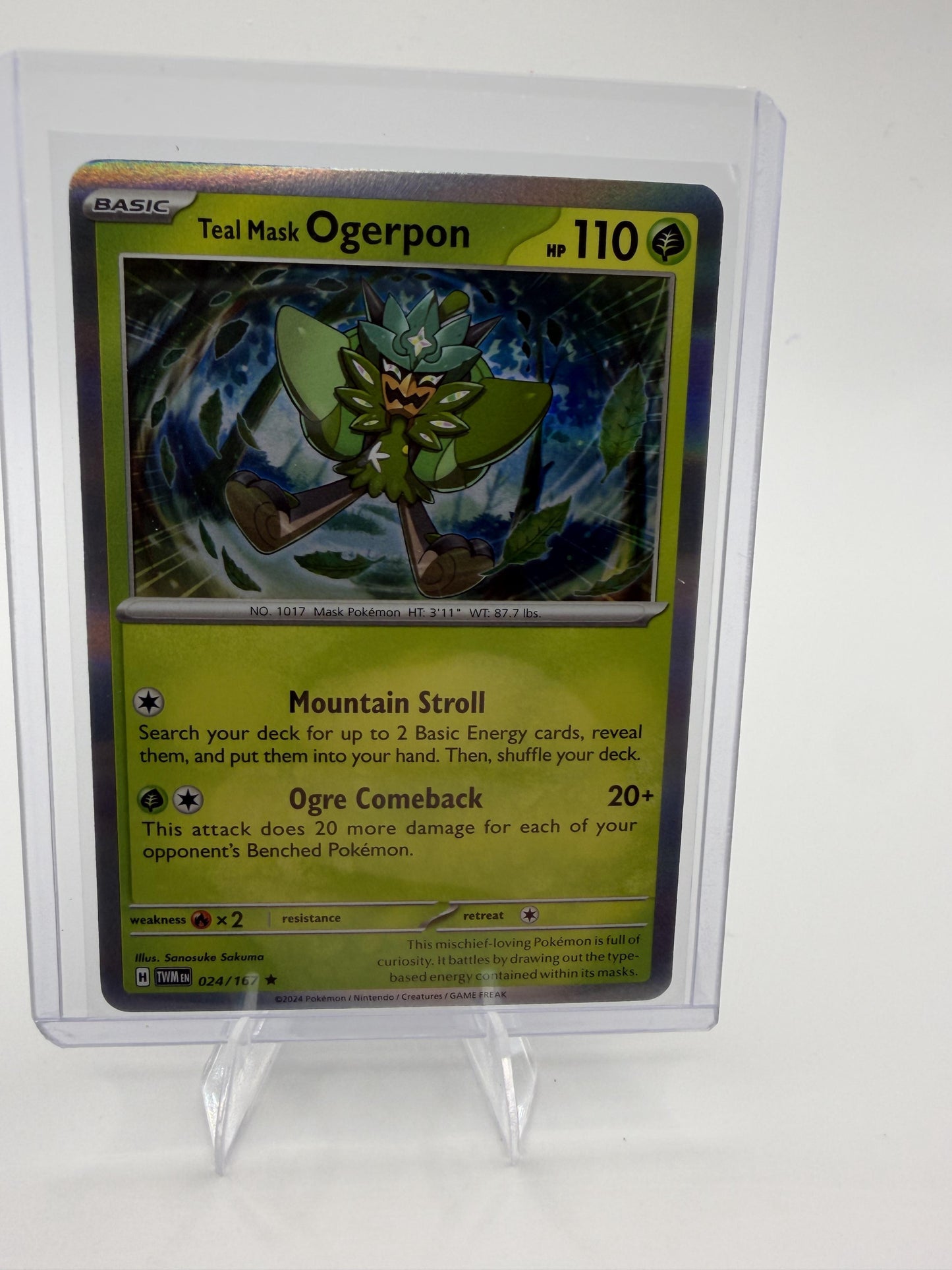 Teal Mask Ogerpon 024/167 Holo Rare Twilight Masquerade Pokemon Card NM 2024