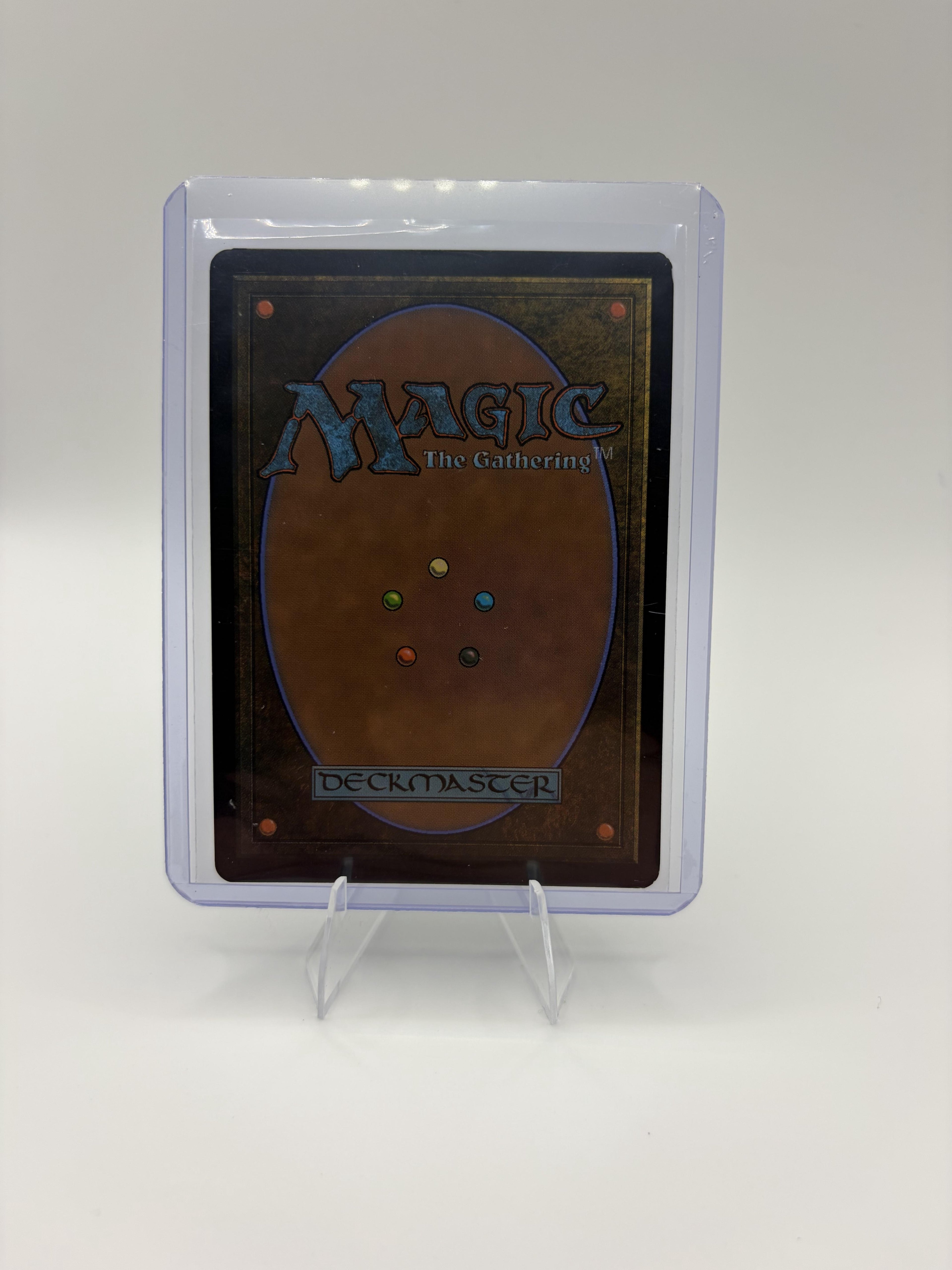 Magic MTG Forest 0198 Marvel Spider-Man Secret Lair Full Art Basic Land SPM EN