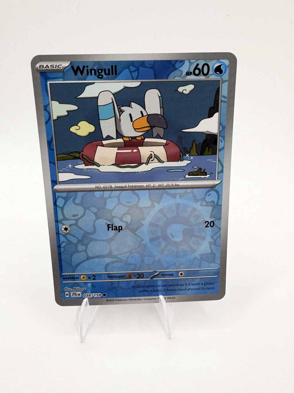 Pokemon Journey Together Wingull Card Common,Reverse Holo #038/159