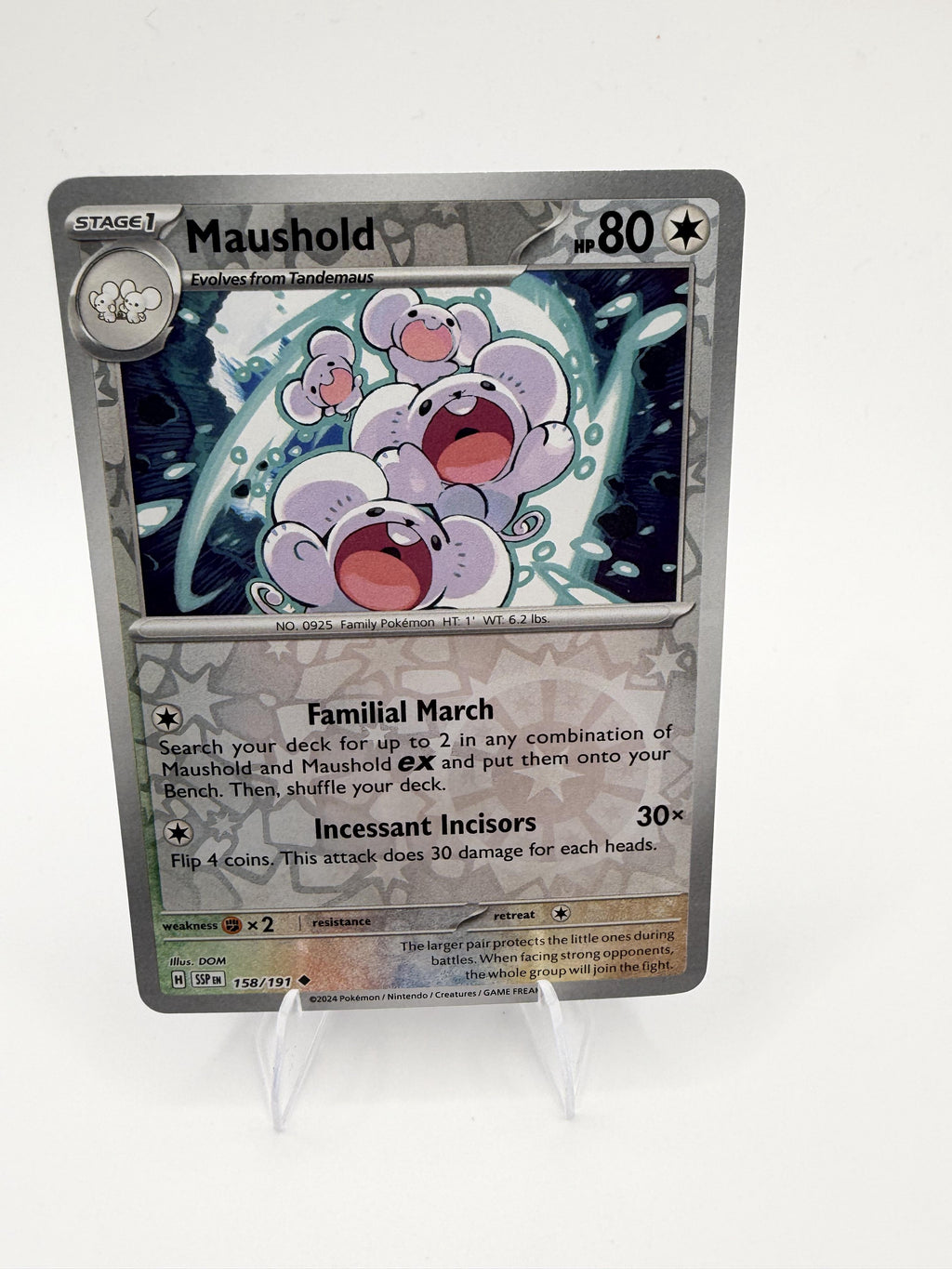 Maushold 158/191 Reverse Holo Surging Sparks SSP Pokemon 2024 NM
