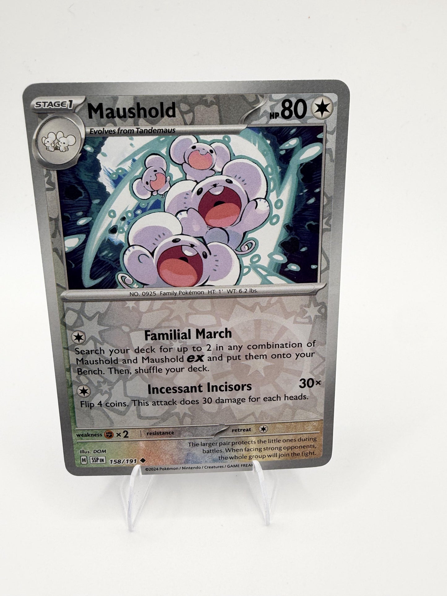 Maushold 158/191 Reverse Holo Surging Sparks SSP Pokemon 2024 NM
