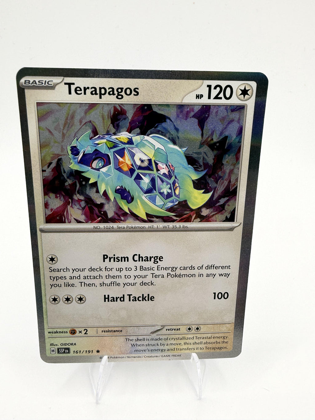 Terapagos 161/191 Holo Rare Surging Sparks Pokemon 2024 Scarlet & Violet NM