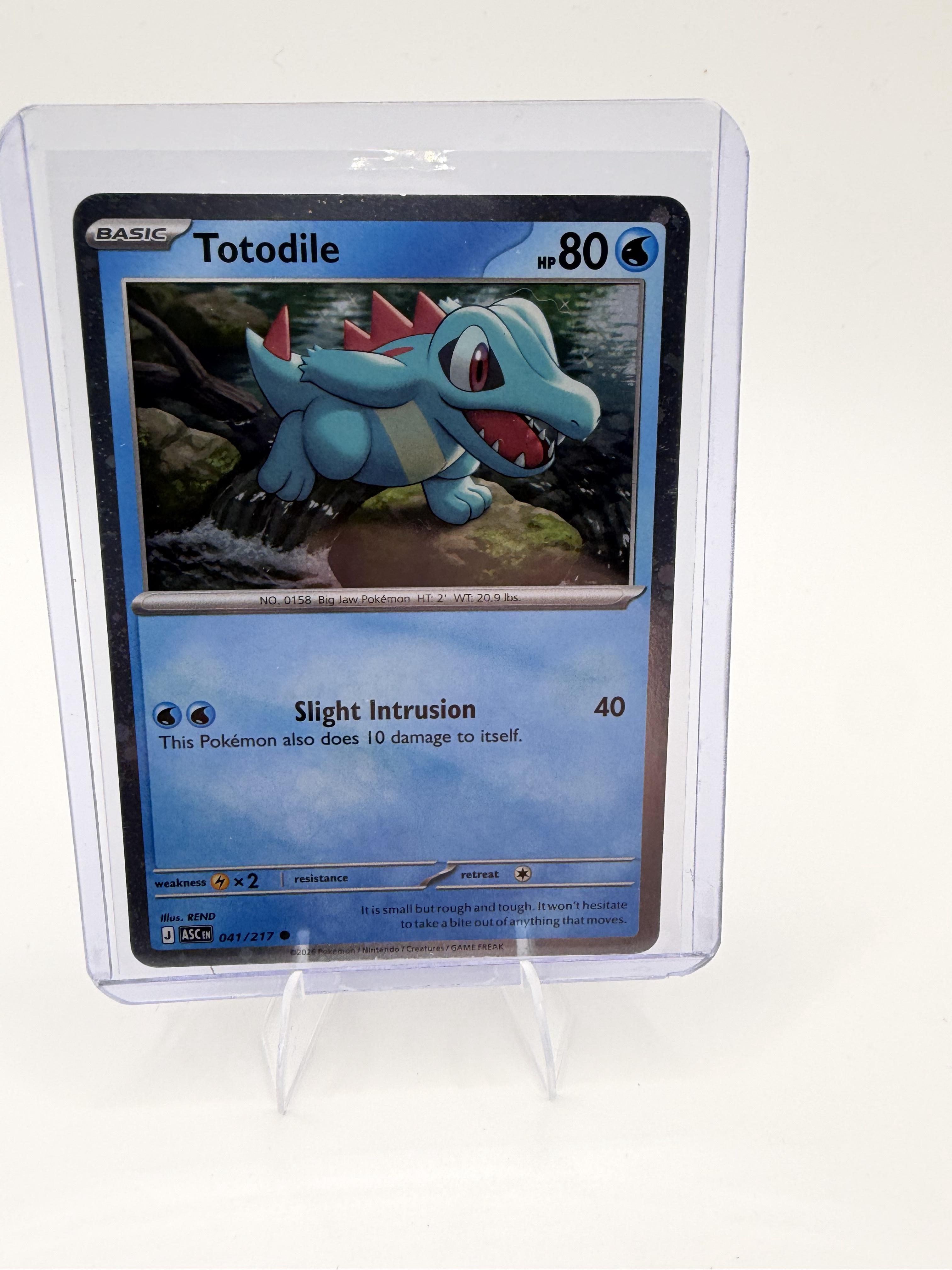 Totodile 041/217 - Ascended Heroes - Reverse Holo - Pokemon TCG - NM