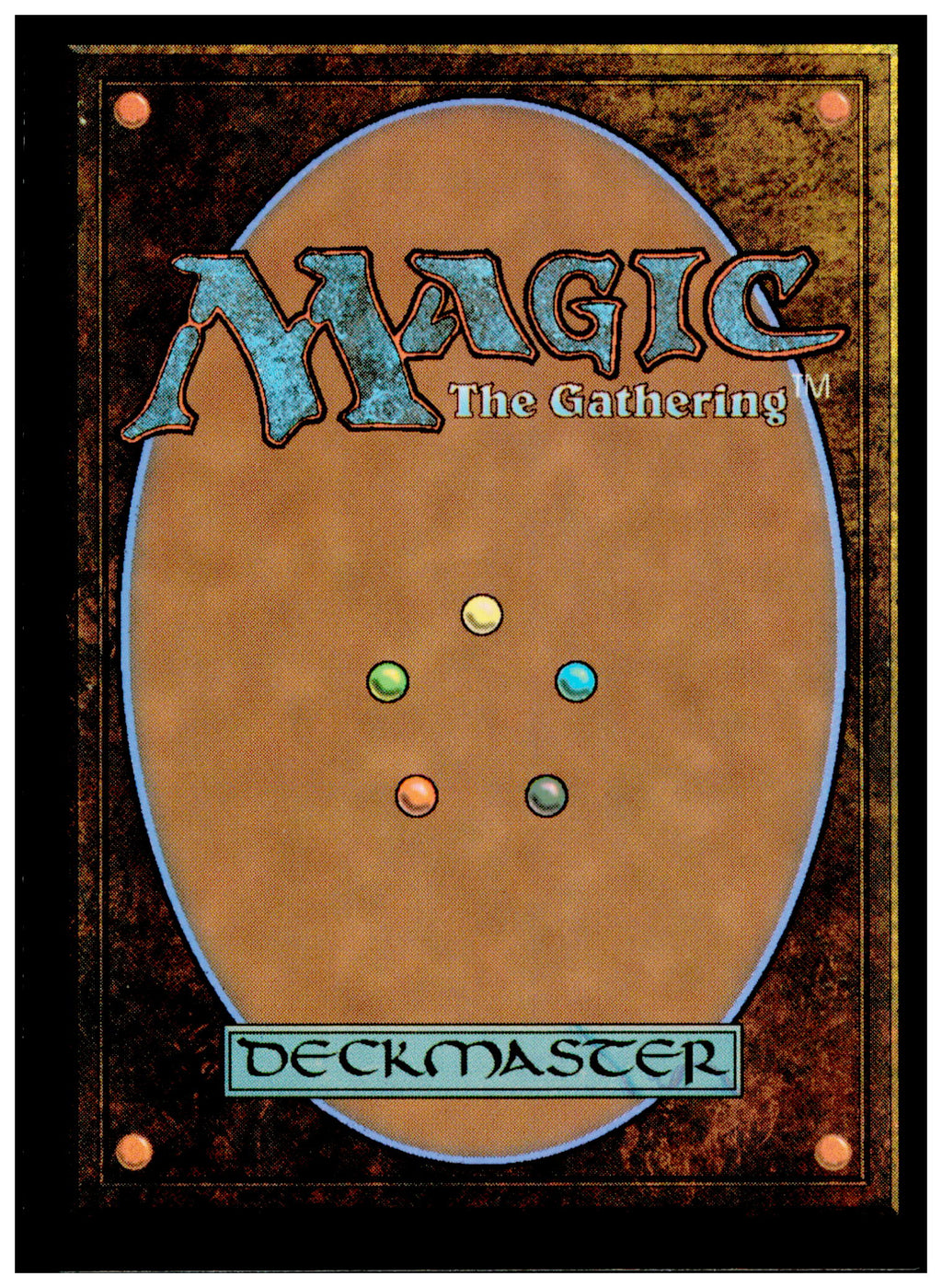 Studious First-Year 0162 SOS 2026 MTG Bear Wizard Secrets of Strixhaven NM