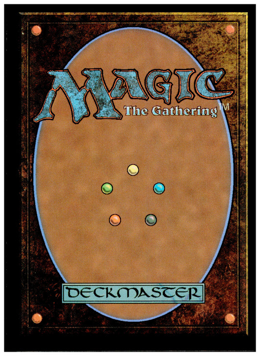 Studious First-Year 0162 SOS 2026 MTG Bear Wizard Secrets of Strixhaven NM