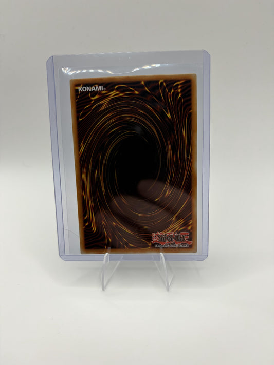 Yu-Gi-Oh Harpie's Pet Dragon Fearsome Fire Blast LDS3-EN138 Secret Rare NM