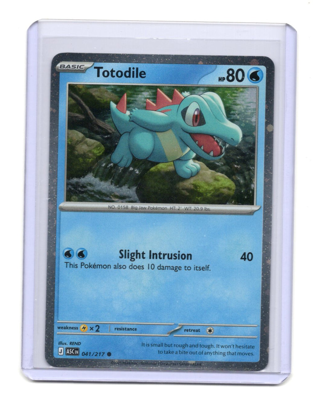 Miscellaneous Cards & Products Totodile (Cosmos Holo) Card Common,Holo #041/217