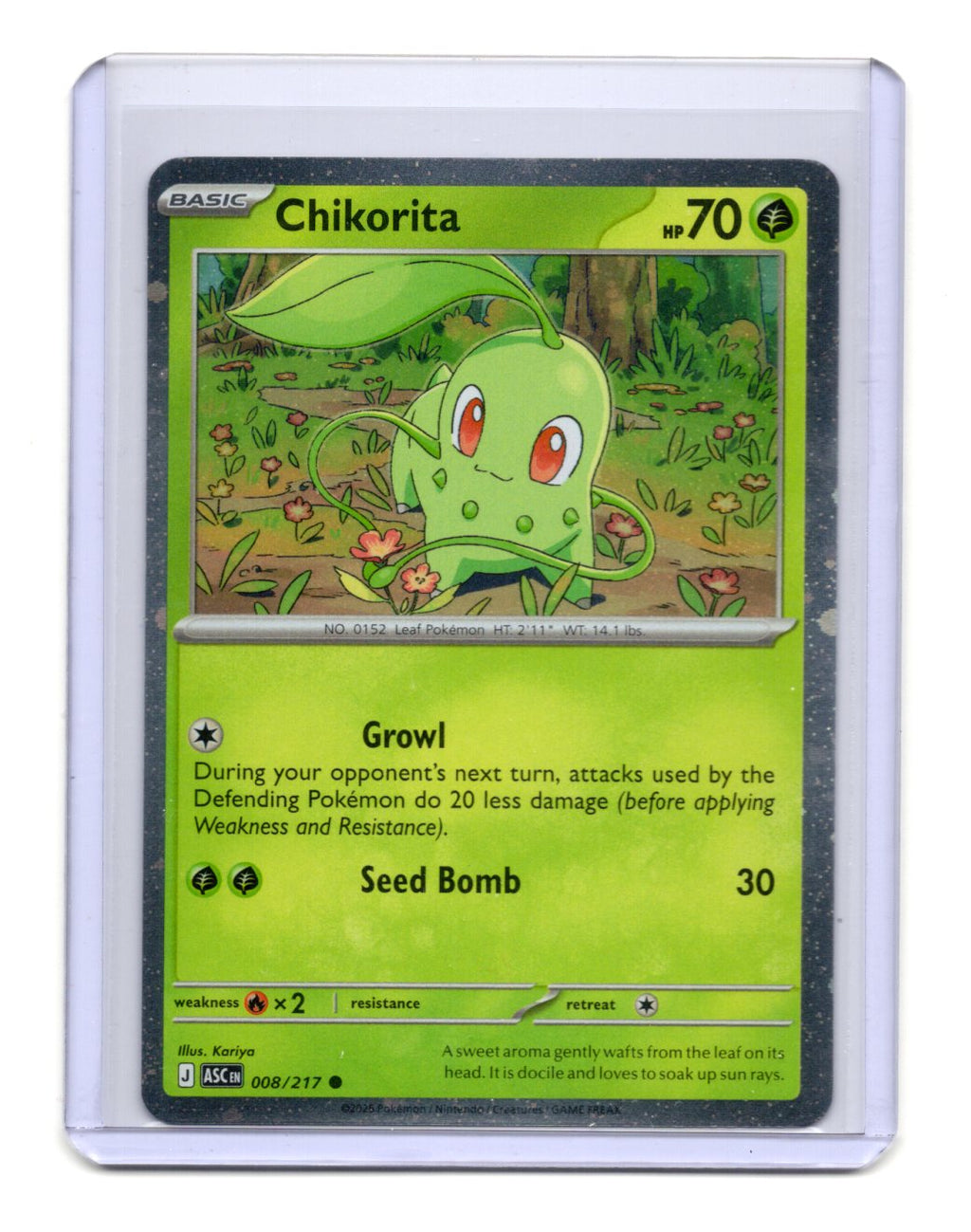Miscellaneous Cards & Products Chikorita (Cosmos Holo) Card Common,Holo #008/217