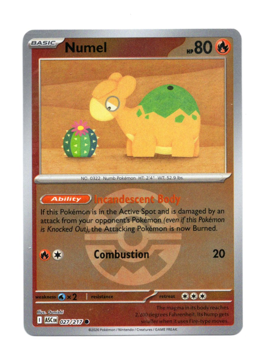 Pokemon Ascended Heroes Numel Card Common,Reverse Holo #027/217