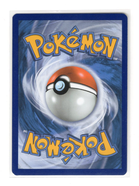 Pokemon Astral Radiance Hippopotas Card Common #079/189