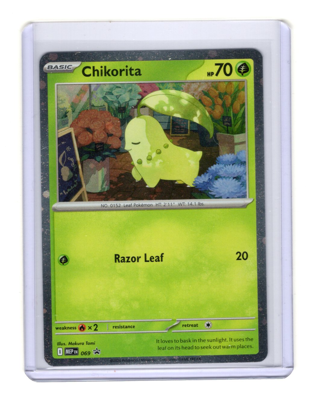Pokemon Mega Evolution Promo Chikorita (Cosmos Holo) Card #069