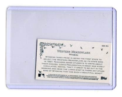 2025 Topps Allen & Ginter Yellowhammer Card Mini State Birds
