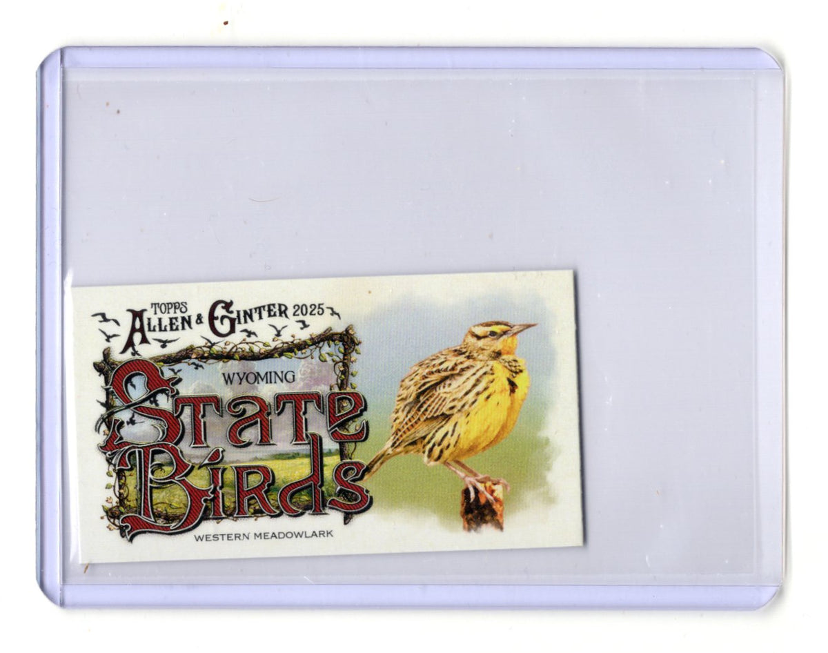 2025 Topps Allen & Ginter Yellowhammer Card Mini State Birds