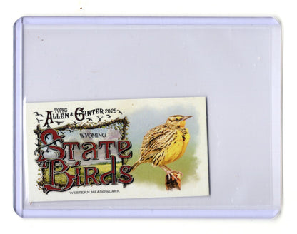 2025 Topps Allen & Ginter Yellowhammer Card Mini State Birds